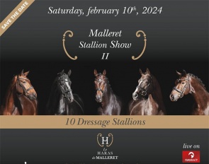Haras de Malleret Stallion Show on 10 February 2024