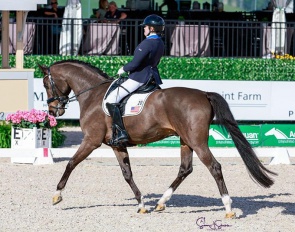 Beatrice de Lavalette and Sixth Sense at the 2024 CPEDI Wellington :: Photo © Sue Stickle