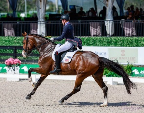 Benjamin Ebeling on Escona in the PSG Future Challenge at the 2023 CDI Wellington - Week Three :: Photo © Sue Stickle