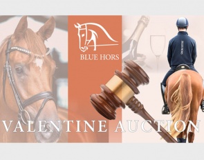 Blue Hors Valentine Auction on 2 February 2024