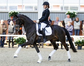 HP Tiramisu (by Furstenball x Florencio x Rubinstein)