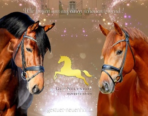 Stallion Station Gut Neuenhof stallion show -  "Festival of Our Sires" - in Wickrath on 3 February 2024
