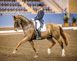 Brett Parbery and PPH Zeppelin at the CDI Sydney :: Photo © Sydney International Horse Show/Venhaus