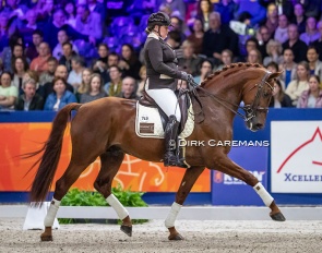Trea Mulder-Dolsma and Jupiler S at the 2020 KWPN Stallion Licensing show :: Photo © Dirk Caremans