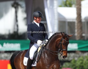 Michael Klimke and Domino competing in Wellington :: Photo © Astrid Appels