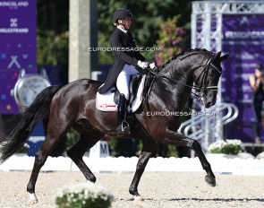 Beata Stremler and FairPlay at the 2023 European Championships in Riesenbeck :: Photo © Astrid Appels