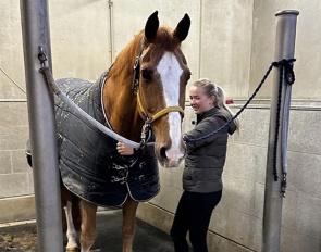 Nanna Merrald's top horse Blue Hors Zepter got withdrawn from this weekend's CDI-W Gothenburg because of a hoof abscess. Get well soon