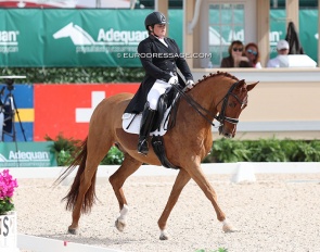 Tanya Stasser on Fidelis Tyme at the 2024 CDI-W Wellington on 8 February 2024 :: Photo © Astrid Appels