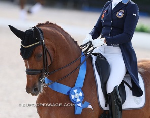 Tinne Vilhelmson-Silfven and Hyatt at the 2023 CDI-W Wellington :: Photo © Astrid Appels
