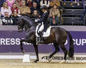 Emmelie Scholens and Indian Rock at the 2024 CDI-W Neumunster :: Photos © Stefan Lafrentz