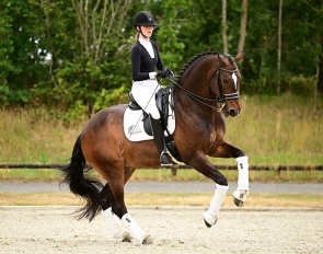 Gant (by Bon Bravour x Krack C)