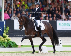 Philly Rroberts and Del Sogno in the 4-YO challenge at the 2023 World Young Horse Championships :: Photo © Astrid Appels