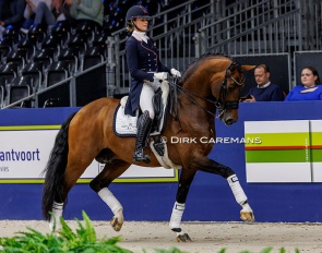 Dinja van Liere and Vaderland at the 2024 KWPN stallion licensing show :: Photo © Dirk Caremans