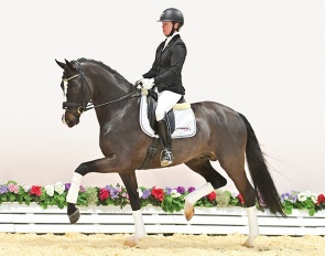 Kira Wulferding on Diamonds Detto (by Diamond Deluxe x Foundation x Sunny-Boy)