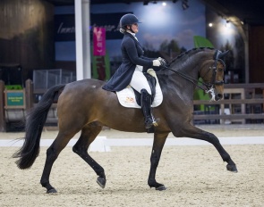 Hexagon's Grandville