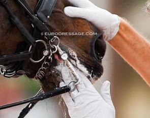 FEI steward checking mouth and lips during a mandatory tack check at a CDI competition :: Photo © Astrid Appels