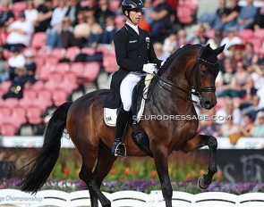 Benjamin Werndl and Famoso OLD at their career highlight show, the 2022 World Championships in Herning :: Photo © Astrid Appels