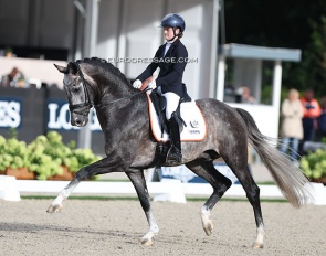 Phoebe Peters and Everest in the 4-YO challenge at the 2023 World Young Horse Championships :: Photo © Astrid Appels