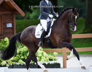 Lea-Elisabeth Pointinger and Eyecatcher W in the 4-YO Challenge at the 2023 World Young Horse Championships :: Photo © Astrid Appels