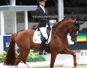 Thomas Schulze and Beck's at the 2023 World Young Horse Championships :: Photo © Astrid Appels