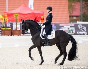 Moritz Treffinger on Morricone at the 2024 CDI Gosciszow :: Photo © Lukasz Kowalski