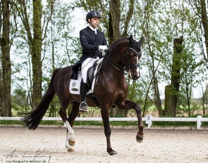 Manuel Dominguez and Golden Romance Malleret PS at the 2024 CDN Hamminkeln :: Photo © Wetzlar