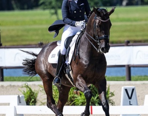 Karen Lipp and Infinity at the 2024 CDI Myakka City :: Photo © Sue Stickle