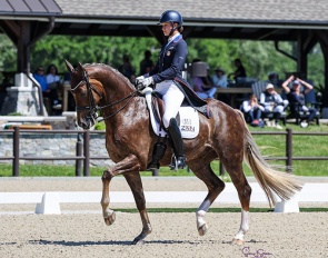 Adrienne Lyle and Helix in the 4* Grand Prix at the 2024 CDI Myakka City :: Photo © Sue Stickle