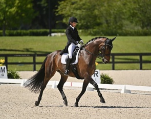 Mikala Munter and MSJ Charmer at the 2024 CDI Ocala :: Photo © Andrew Ryback