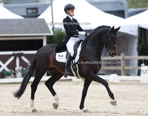 Carina Scholz and Isterberg V at their CDI debut in Sint-Truiden :: Photo © Astrid Appels