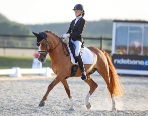 Mr Lou (by FS Mr Right x Dornik B)