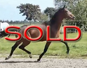 Revanche (by Valverde x Everdale x Jazz)