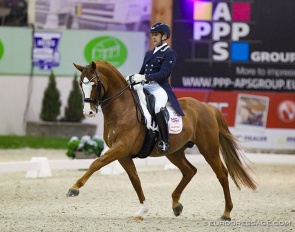 Tom Goode and Sam Geddes' KWPN stallion Dior at the 2020 CDI Lier :: Photo © Astrid Appels