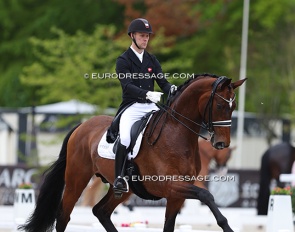 Daniel Bachmann Andersen and Vayron at the 2024 CDIO Compiegne :: Photo © Astrid Appels