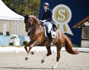 Gonzalo Castillo Arroyo and Berill Szoke Toth's Qatar at the 2024 CDI Hagen :: Photo © Mhisen