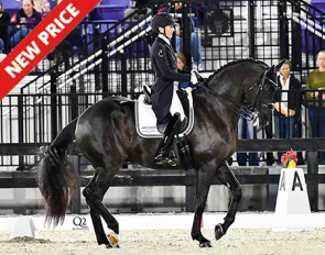 Skyfall at the CDI Ocala :: Photo © Q2 Photography