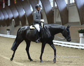 At the beginning of November 2023 Fanti debuted at elementary level after having achieved wins and placing at novice level over the summer :: Photos © Silke Rottermann