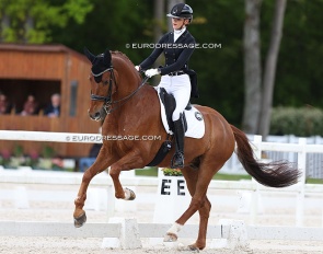 Liezel Everars and Vigo Gold NA at the 2024 CDIO Compiegne :: Photo © Astrid Appels