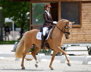 Russian born Azerbaijani Agata Zakhrabekova on RM Golden Showman at the 2024 CDIO Compiegne :: Photo © Astrid Appels