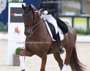 Lena Waldmann and Belinda at the 2024 CDI Hagen :: Photo © Astrid Appels