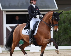 Lea Torabi on Bergåkras Amaranth at the 2024 CDI Sint-Truiden :: Photo © Astrid Appels