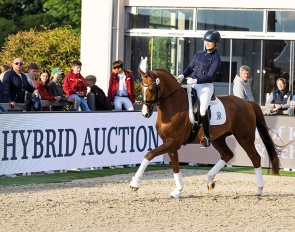 Sina Eilers on Simba at the 2024 Hof Kasselmann Hybrid Auction :: Photo © Thomas Hellmann