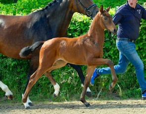 Elisajah (by Escaneno x Fürst Romancier x Fidertanz)