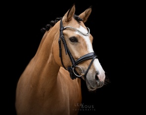 Caramel ST (by Can Dance x Nagano) :: Photos © Lea Sous