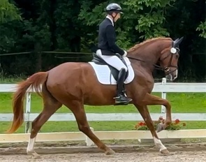 DB Sia (by Secret x Weltmeyer x Donnerhall)