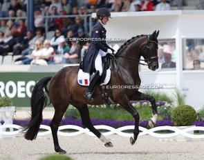 Pauline Basquin on Sertorius de Rima Z at the 2024 CDIO Aachen :: Photo © Astrid Appel
