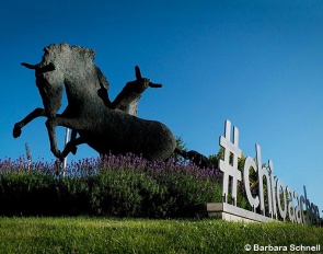 CHIO Aachen :: Photo © Barbara Schnell