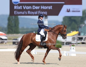 Rixt van der Horst and Fonq at the 2024 CPEDI Hagen :: Photo © Astrid Appels