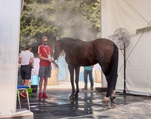 ooling stations were set up across the Paris 2024 Olympic equestrian venue at Versailles, equipped with cold water, ice, and personnel ready to assist horses with immediate cooling needs :: Photo © FEI/Liz Gregg
