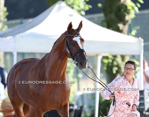 Zaneta Skowronska and Love Me at the first horse inspection at the 2024 Olympics :: Photo © Astrid Appels